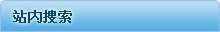 站(zhàn)內(nèi)搜索